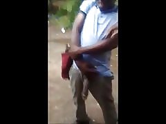 Arătând cocoş cal pentru curve