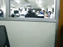 Biblioteca cu degetul de loyalsock