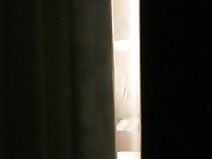 Holiday inn (seria) partea ii