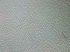 Privind la sala de fitness #01