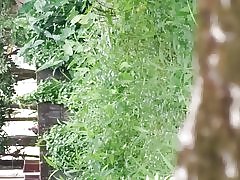 Din Sri Lanka cuplu în aer liber în Parlament pe jos cale